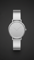 Brushed Silver Minimalist Quartz Watch